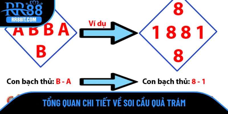 Tổng quan chi tiết về soi cầu quả trám